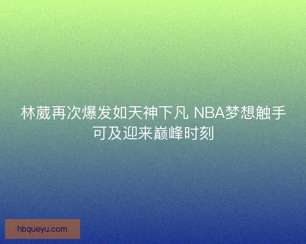 林葳再次爆发如天神下凡 NBA梦想触手可及迎来巅峰时刻 林葳再次爆发如天神下凡 NBA梦想触手可及迎来巅峰时刻