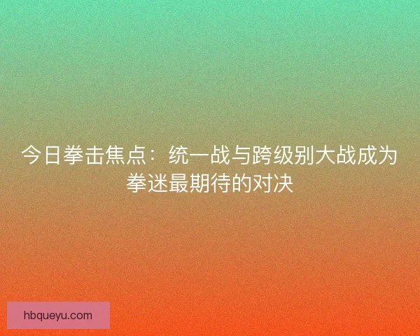 今日拳击焦点:统一战与跨级别大战成为拳迷最期待的对决 今日拳击焦点:统一战与跨级别大战成为拳迷最期待的对决